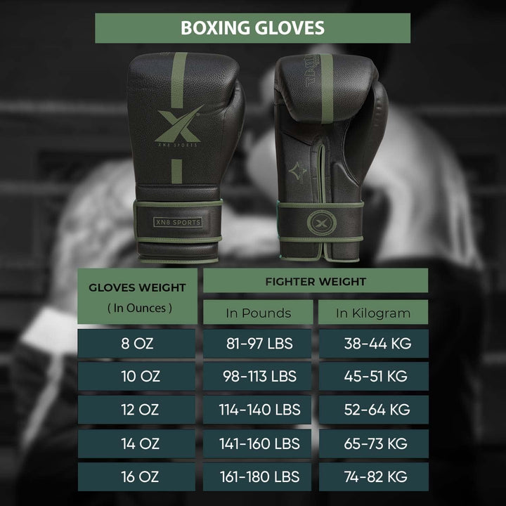 Xn8 Boxing Gloves Combat Cruze Series