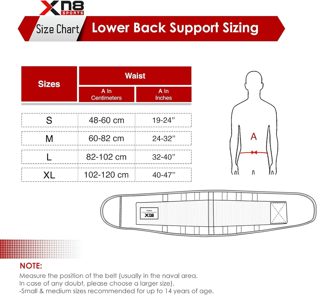 Xn8 Back Support Belt M200