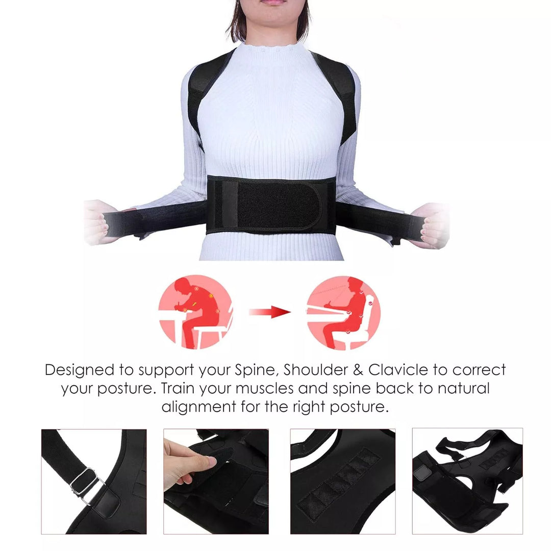 Xn8  Lumbar Back Support Belt B107