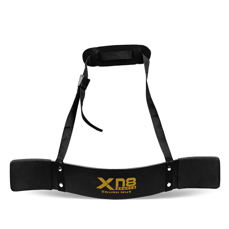 XN8 Arm Blaster Bicep Curl