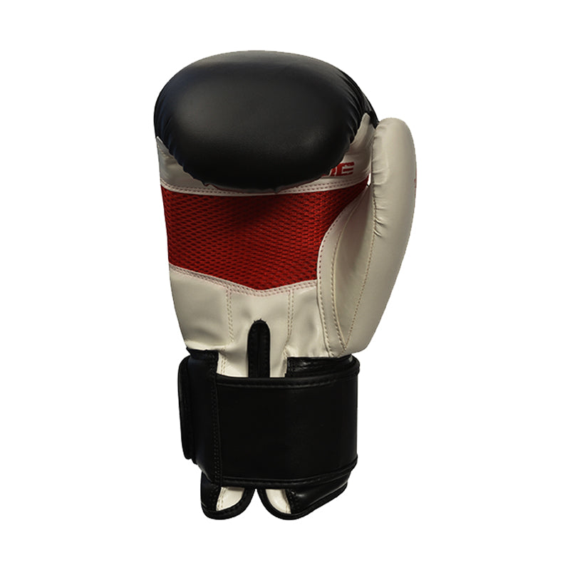 Xn8 Boxing Gloves Rex