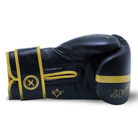 Xn8 Sports Boxing Gloves Combat Cruze Series