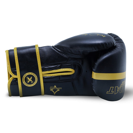 Xn8 Sports Boxing Gloves Combat Cruze Series