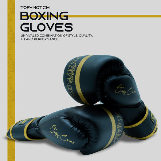 Xn8 Sports Boxing Gloves Combat Cruze Series