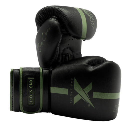 Xn8 Sports Boxing Gloves Combat Cruze Series