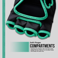 Xn8 Sports MMA Gloves Combat Cruze Series